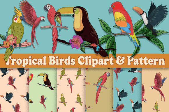 Tropical Birds Clipart Patterns